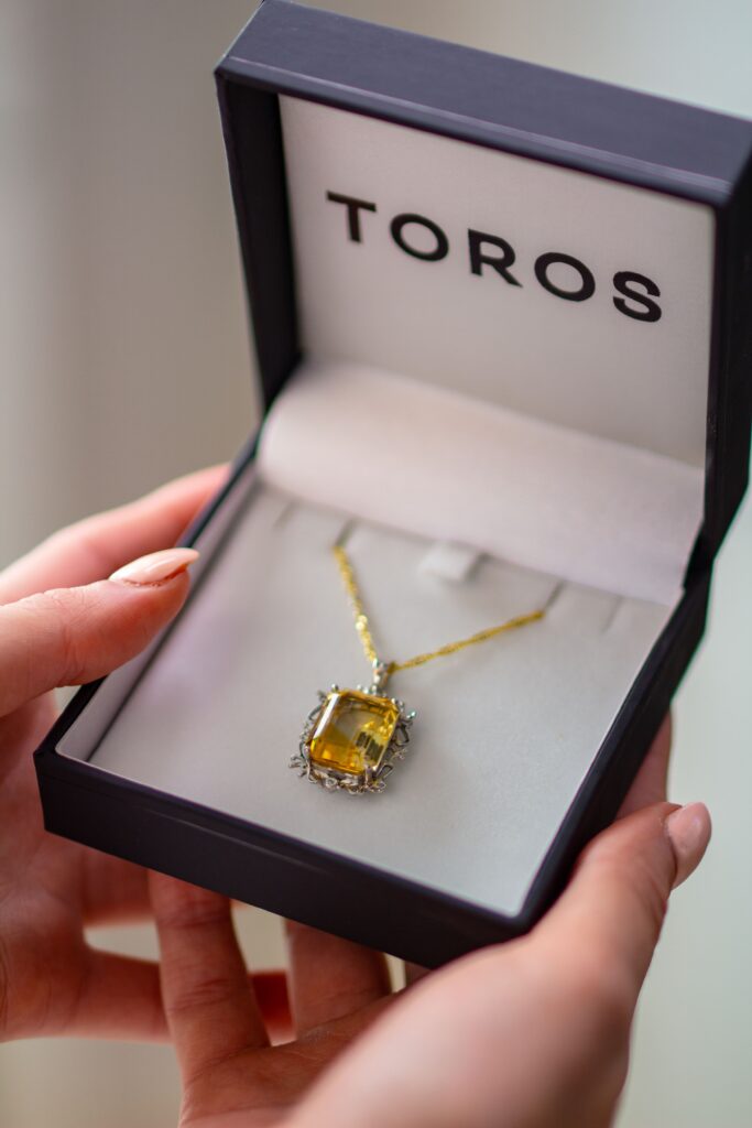 TOROS-8493hghg